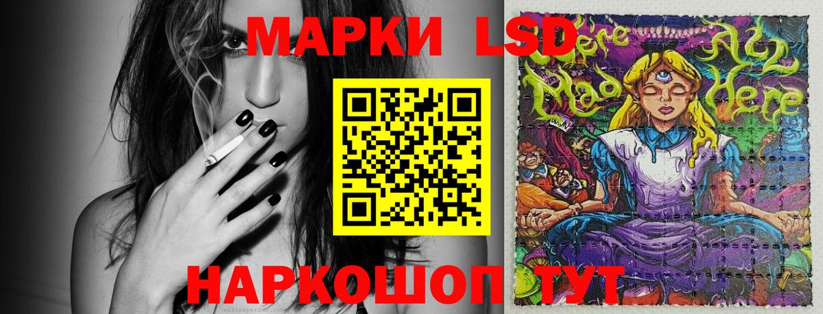 Марки 25I-NBOMe 1,8мг Лесной