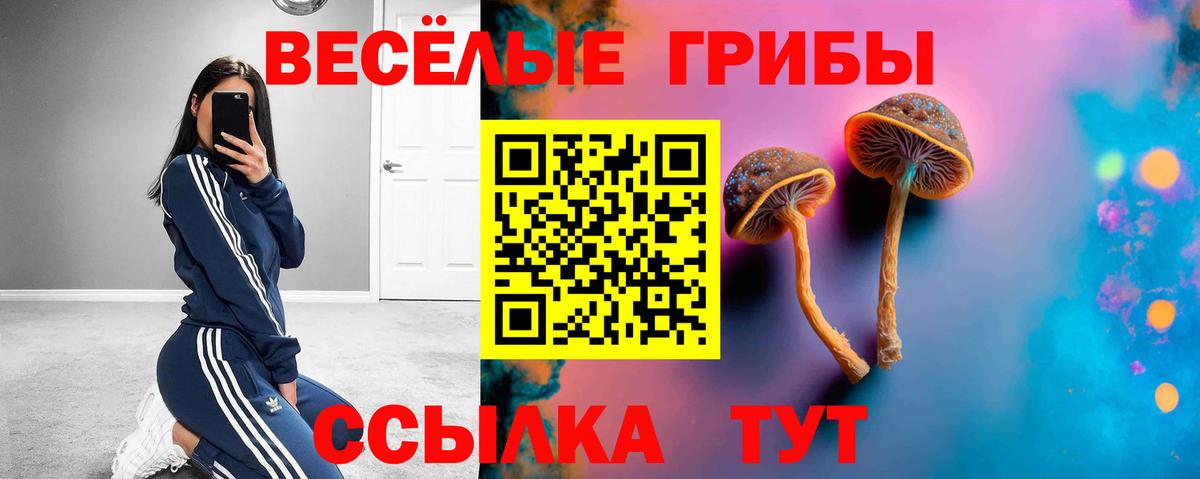 Галлюциногенные грибы прущие грибы Лесной